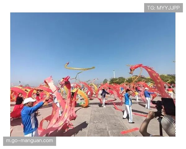 鞭陀龙运动在海南国际邀请赛中呈现中年老年组竞技