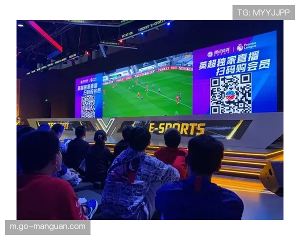 英超俱乐部开展社区活动，推广草根足球